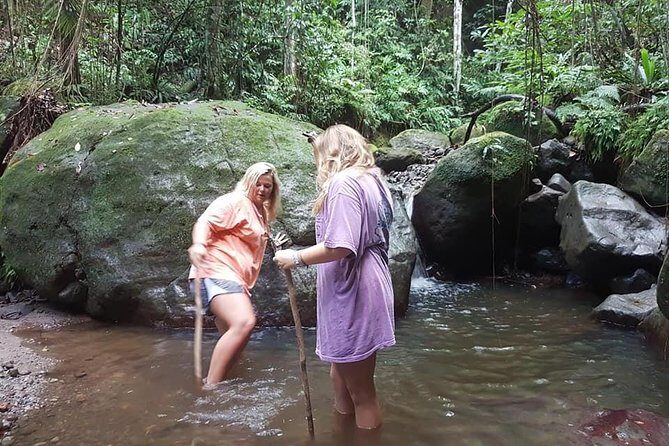 Tropical Rain Forest Explorer Hike In St. Kitts - Half-day rainforest time, then you’re back to enjoy St Kitts