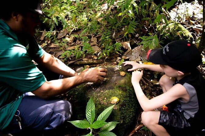 Tropical Rain Forest Explorer Hike In St. Kitts - How hard is it, really? Trail time, distance, and weather needs