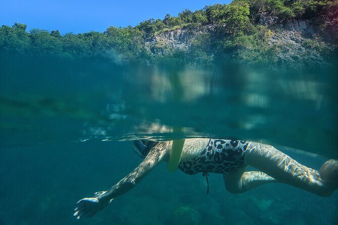 VIP Private Guided Scuba Diving/Snorkeling Excursion - Key highlights