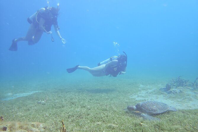 VIP Private Guided Scuba Diving/Snorkeling Excursion - A VIP St Kitts ocean day that feels private, not packaged