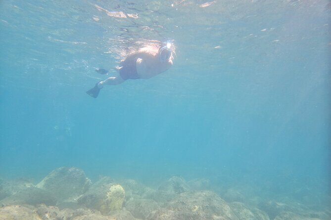 VIP Private Guided Scuba Diving/Snorkeling Excursion - Scuba underwater sessions: what’s included and what costs extra