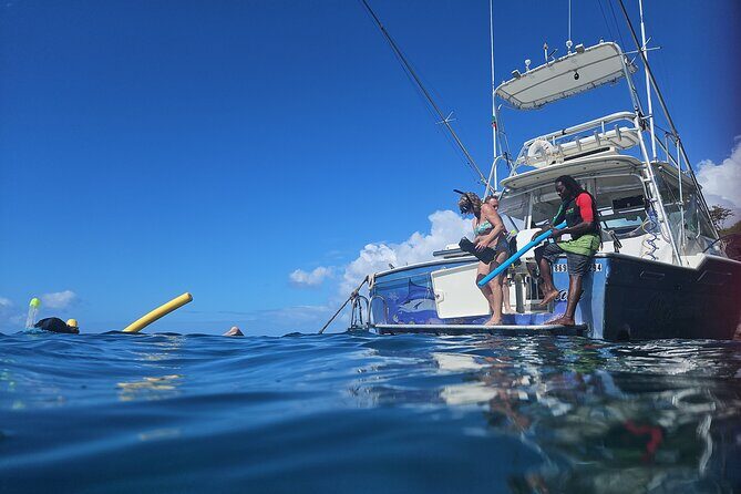 VIP Private Guided Scuba Diving/Snorkeling Excursion - Relax time counts here: the day isn’t only for swimmers