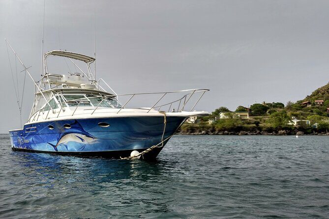 VIP Private Guided Scuba Diving/Snorkeling Excursion - Price and value: is $600 per person worth it?