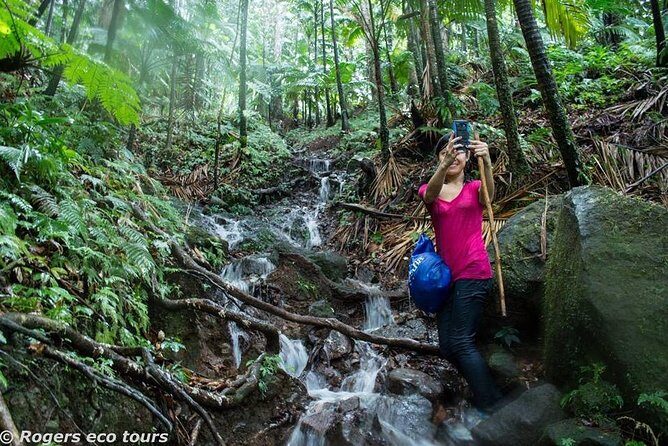 Volcano Caldera (Mt. Liamuiga) Trek / Hike - Volcano Caldera Treks: Why This One Works as a Full Day