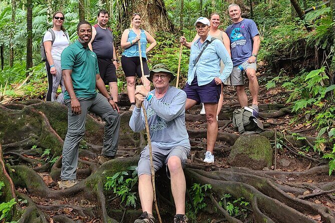 Volcano Caldera (Mt. Liamuiga) Trek / Hike - What Makes This Tour a Strong Value on St. Kitts
