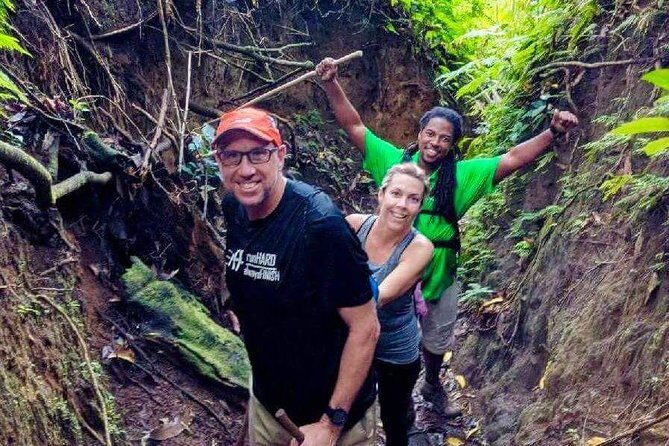 Volcano Crater Hiking Tour in St Kitts - Why Mt. Liamuiga Feels Like a Real Adventure (Not a Walk in the Park)