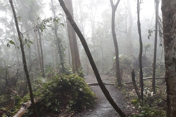 Volcano Crater Hiking Tour in St Kitts - The Peak Moment: 360° Views, Picnic Lunch, and a Little Weather Reality Check