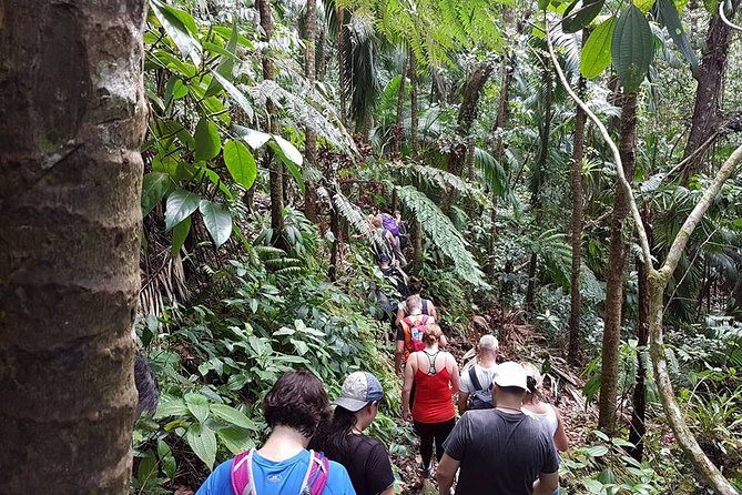 Volcano Crater Hiking Tour in St Kitts - Timing, Duration, and the Total Day Feel
