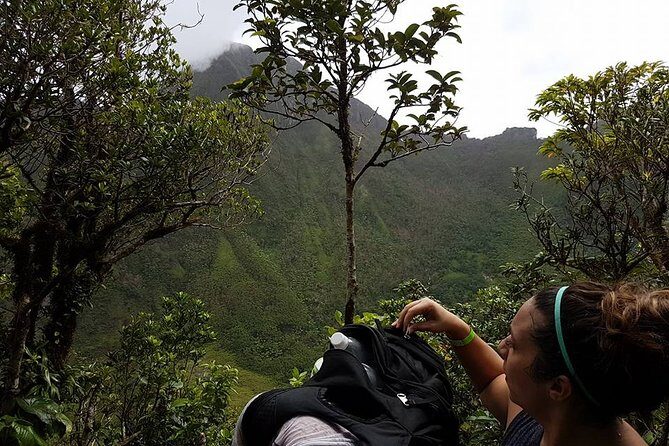 Volcano Crater Hiking Tour in St Kitts - Price and Value: How $100 Adds Up for a Full-Day Volcano Day