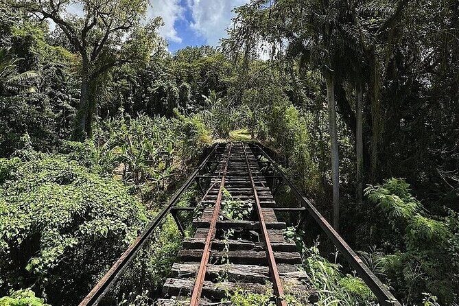 Wingfield Rainforest Adventure Hike and Caribelle Batik stop - Small-Group Reality Check: When Plans Can Change