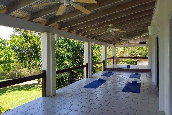 Yoga and Meditation, Group or Private Sessions in Nevis - What you do during 90 minutes: flow, options, and real rest